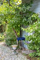 Dans le contexte de la maison en bois, une table et une chaise de bistrot sous un arbre sont situées à côté d'un chemin pavé de granit. Les plantes comprennent Diospyros kaki et Rosa 'The Fairy'