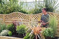 Antony Henn de Garden sur un rouleau de parterre nouvellement planté de plantes matures où les plantes sont placées selon le plan papier pour le parterre conçu