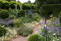 Le jardin herbacé bleu et blanc