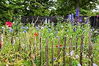 Pâte de châtaigne ronde plantation mixte de Geranium pratense 'Cranebill de prairie' Mme Kendall Clark ', coquelicots, bleuets, roses, pois de senteur et Delphinium elatum. Jardin Hetty van Baalen, Pays-Bas