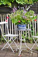 Affichage floral de fleurs au début de l'été sur la table. Jardin Hetty van Baalen, Pays-Bas