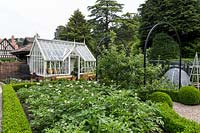 Bordure végétale bordée de Buxus sempervirens, contenant diverses variétés de pommes de terre, avec des pergolas métalliques contemporaines et une serre en arrière-plan dans un jardin conçu par Tom Hoblyn à Heatherbrae