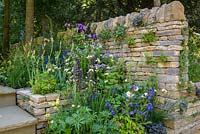 Murs en pierre sèche plantés de fougères, d'alto et de feuilles de lierre dans le jardin des amoureux de la poésie - RHS Chelsea Flower Show 2017