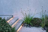 Le Jeremy Vine Texture Garden - Étapes avec éclairage menant à un patio en gravier entouré de Libertia grandiflora, Pinus mugo 'Pumilio', Stipa tenuissima - RHS Chelsea Flower Show 2017
