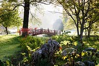 Un pont Nikko rouge enjambe un affluent de la rivière Avon dans le jardin japonais à Heale House, Wiltshire avec des fougères et des ruisseaux frangeants Gunnera manicata au premier plan