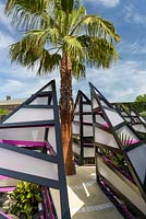 Le jardin du triangle des Bermudes - Un grand palmier Washingtonia robusta - RHS Chelsea Flower Show 2017