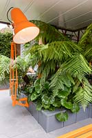 City Living - Orange Anglepoise lampe et fougères au rez-de-chaussée d'un immeuble d'appartements urbains avec Dicksonia antarctica - RHS Chelsea Flower Show 2017