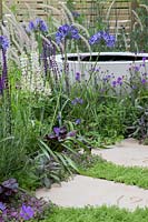 Jardin du bien-être des femmes - Petit étang, plantation de Salvia nemorosa 'Caradonna', Pennisetum orientale 'Tall Tails', Agapanthus africanus 'Midnight Star', 'Verbena rigida - RHS Hampton Court Flower Show 2015