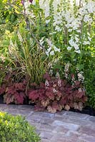 Heucherella 'Sweet Tea' et Digitalis purpurea f. albiflora planté - Squire's Garden Centres: Urban Oasis garden - Hampton Court Flower Show 2015