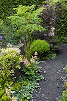 Vue sur chemin de béton foncé - Le jardin Linklaters pour Maggie's - RHS Chelsea Flower Show 2017 - Designer: Darren Hawkes