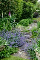 Petit jardin en pente avec une série de marches en pierre, de pavés et de pelouses. Parterre de digitales, nepeta, erigeron et muguet.