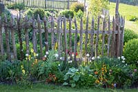 Le jardin d'un fermier traditionnel est séparé des environs par une clôture en bois. Les plantes sont des tulipes, Erysimum - giroflées et Fritillaria persica