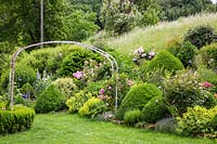 Jardin de roses avec des rosiers arbustifs, un écrêtage, des vivaces et une arche de roses sur une pelouse. Les plantes comprennent Alchemilla mollis, Buxus, Delphinium, Lavandula, Paeonia, Rosa 'Mme Ernest Calvat' et Rosa 'Sangerhausen'