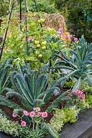 Kale 'Cavolo Nero' et œillet rose - RHS Hampton Court Flower Show 2017, - RHS Kitchen Garden - Designer: Juliet Sargeant - Constructeur: Sandstone Design