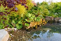 Jardin de style japonais avec Acer palmatum, bambou et Gunnera manicata entourant un grand étang - 'À l'unisson avec ... un jardin de méditation' - Pépinière de Howle Hill, RHS Malvern Spring Festival 2017