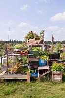 De plus en plus de légumes en pots au Jardin communautaire urbain de Tempelhof, Berlin