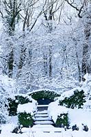 Le jardin sauvage. Haies de boîte - Buxus sempervirens entourant le siège. Vue sur le bois derrière. Jardin dans la neige. Veddw House Garden, Monmouthshire, Pays de Galles, Royaume-Uni. Le jardin a été créé depuis 1987 par l'écrivain Anne Wareham et son mari, le photographe Charles Hawes. Le jardin s'ouvre régulièrement au public pendant les mois d'été.
