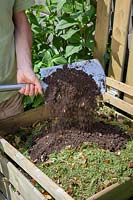 Ajout de terre aux tontes de gazon dans le compost pour maintenir l'équilibre et aider à la pourriture, juin
