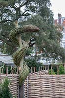Sculpture de saule tressé au Chelsea Physic Garden, Londres, représentant 'La verge d'Asclépios', traditionnellement représentée comme un serpent enlacé autour d'un bâton