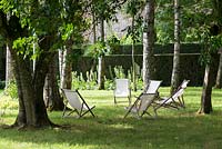 Chaises de terrasse en bois sous les bouleaux, juillet