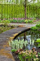 Jardin de printemps avec terrasse en bois traverse l'étang circulaire. La plantation comprend Helleborus x hybridus syn. Helleborus orientalis, Iris variegata et tulipes. Jardin Laura Dingemans