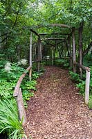 Sentier de paillis à travers Thuja - Tonnelle de cèdre bordée par Aruncus dioicus au début de l'été. Jardin Le Jardin de Francois, Québec, Canada.