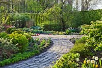 Jardin printanier avec chemin menant à travers des parterres de tulipes, jonquilles, boîte topiaire et vivaces émergentes. Jardin Laura Dingemans