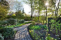 Jardin de printemps avec chemin menant à travers des parterres de tulipes et de vivaces émergentes. Jardin Laura Dingemans, avril