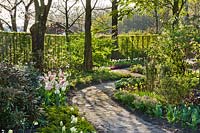 Jardin de printemps avec chemin menant à travers des parterres de tulipes et de vivaces émergentes. Jardin Laura Dingemans, avril.