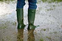 Homme portant des bottes Wellington et debout dans un champ inondé, mars.