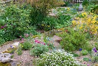 Un jardin de gravier planté de bulbes et de plantes à fleurs printanières, dont des muscari, des dafodils miniatures, des tulipes naines, des fleurs de pasque et du forsythia.