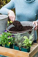 Remplissez la casserole de compost tout usage - Plantation de conserves de pan aux herbes