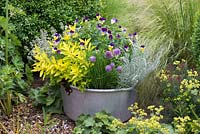 Poêle de conservation en aluminium plantée d'herbes. Au milieu, Viola tricolor, heartease, entouré d'origan doré, de thym, d'oseille, de sauge, de curry et de ciboulette.