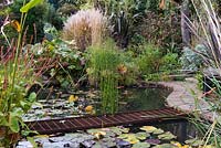 Petit étang faunique de forme libre, traversé par une passerelle en fer. Bordé de bistort, de rheum et d'herbes.