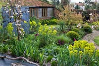 Vue sur la porte du jardin sur les parterres de printemps de tulipes, d'Euphorbe, de boules de boîte, de cordyline et d'Amelanchier à feuilles de bronze.