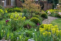 Voir le long du chemin d'accès à la porte du jardin sur les parterres de printemps de tulipes, d'euphorbes, de boules, de cordyline et d'amélanchier à feuilles de bronze.