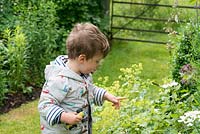 Le petit-fils de Sue et Clive Lloyd, Albert, deux ans, pointe du doigt un insecte dans son jardin.