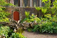 Le Stumpery, le jardin Collector Earls, Château d'Arundel, West Sussex, mai