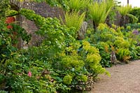 Une fin du printemps, parterre de fleurs fortifié avec des fougères arborescentes et Euphorbia dans le Collector Earls Garden: The Stumpery, Arundel Castle, West Sussex