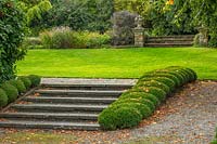 Étapes de la pelouse avec haie de Buxus topiaire tondue - Bourton House Garden, Gloucestershire