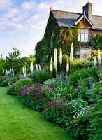 Parterre de fleurs de la maison victorienne - Astrantia cramoisi et baguettes de Eremurus blanc 'Joanna' - Brockhampton cottage, Herefordshire