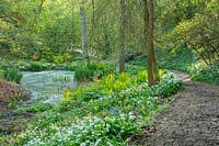 Une voie boisée passe un étang avec des plantations marginales naturalisées à Hole Park, Kent.