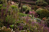 Jardin Foamlea, Mortehoe, North Devon