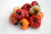 Tomate - Solanum lycopersicum 'Cornue des Andes' syn. 'Andine Cornue' 'Coeur du Boeuf - Orange' syn. 'Coeur de bœuf - Orange' 'Beauté blanche' 'Costoluto Fiorentino' 'Libanais d'Omar'