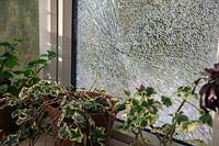 Fenêtre de véranda cassée causée par la pierre projetée par la tondeuse rotative