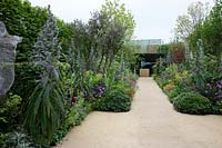 The Arthritis Research UK Garden, exposant: Arthritis Research, concepteur: Chris Beardshaw médaillé d'or