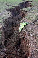 Grave érosion du sol dans le Devon UK - 4 février 2014 sur un terrain escarpé avec une mauvaise mise en place des cultures avant les fortes pluies d'hiver - des ravins de plus de 150 cm de profondeur. Gilet haute visibilité montre l'échelle