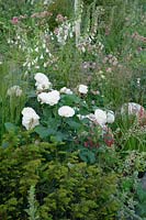 RHS Chelsea Flower Show 2014 - Positively Stoke-on-Trent - Partenariat d'aménagement paysager de Bartholomew et du conseil municipal de Stoke-on-Trent