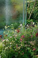 RHS Chelsea Flower Show 2014 - The Mind's Eye - RNIB en partenariat avec Countryside Properties. Designer Countryside Properties - UK - Limited. Jardin frais