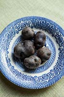 Solanum tuberosum - Pomme de terre 'Congo '. Une ancienne variété patrimoniale